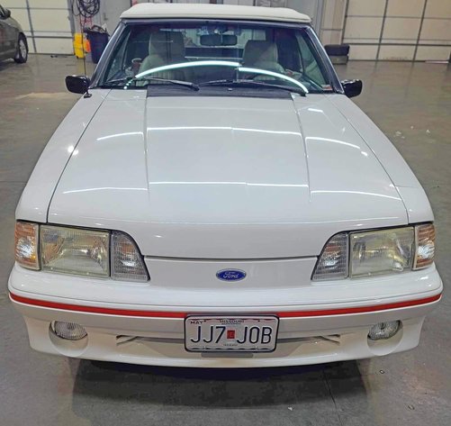 Image for FANTASTIC LIVING ESTATE AUCTION