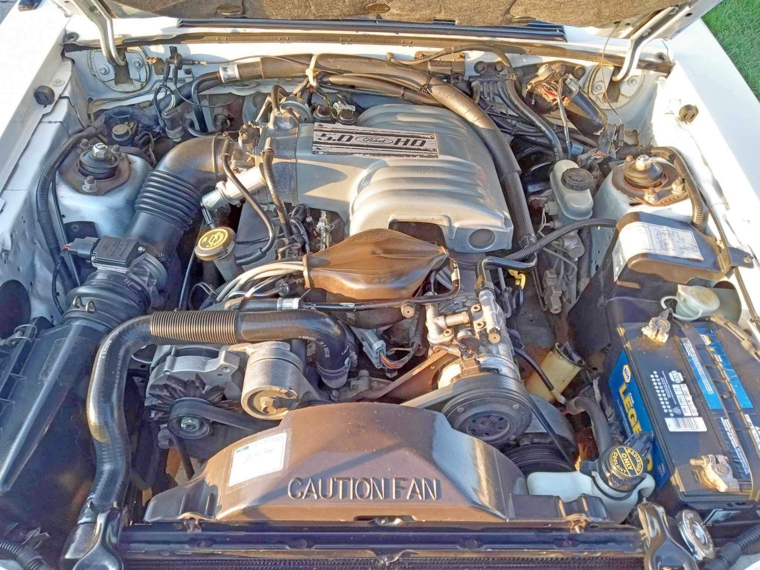 Image for FANTASTIC LIVING ESTATE AUCTION