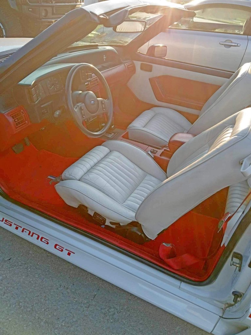 Image for FANTASTIC LIVING ESTATE AUCTION