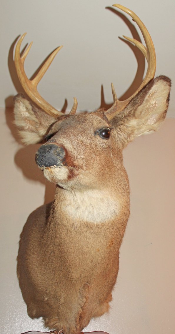 Image for INCREDIBLE ESTATE AUCTION