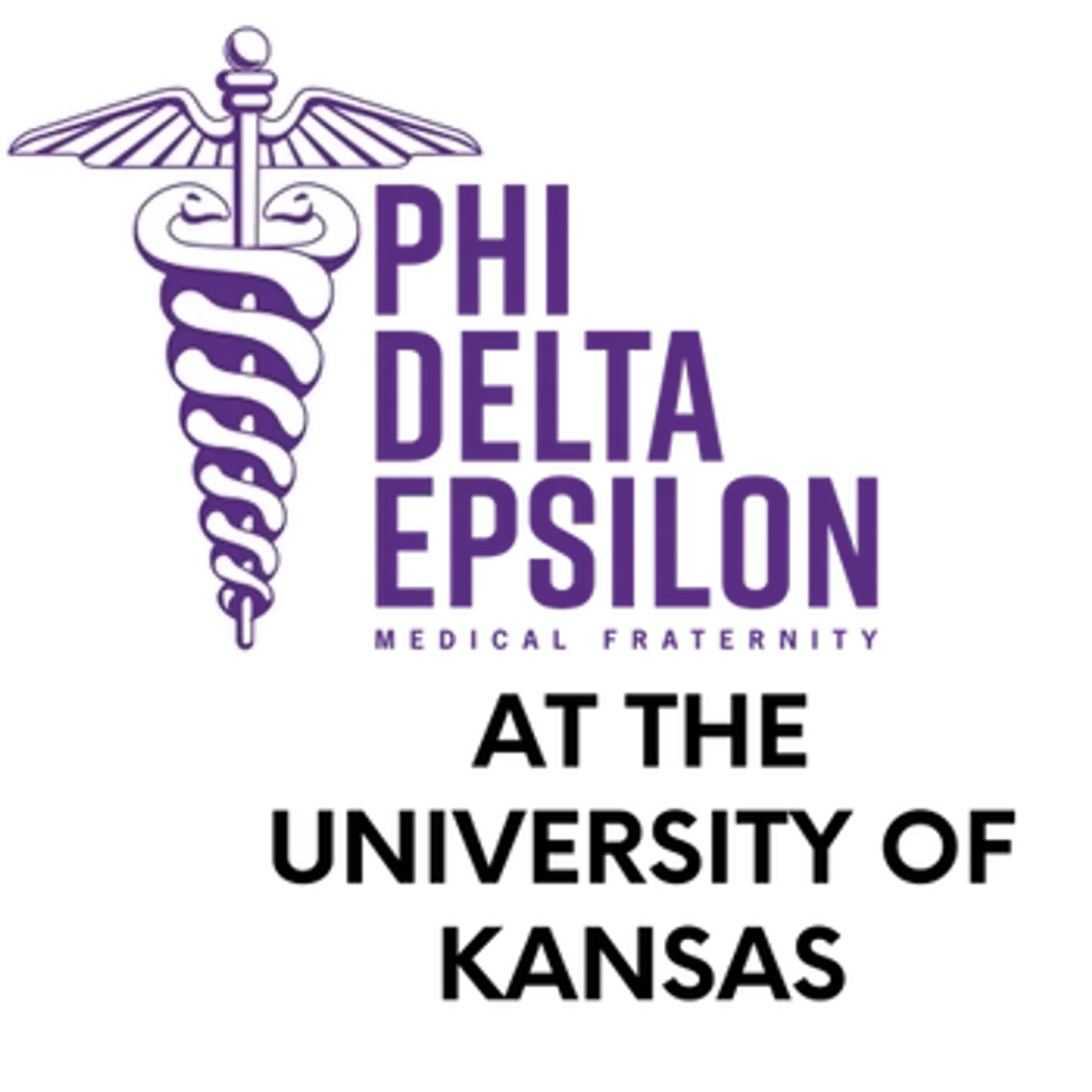 Image for 2nd Annual Phi Delta Epsilon Fraternity Benefit Art Auction