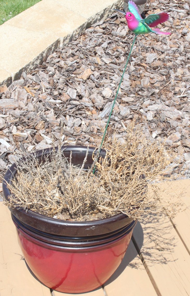 Image for ESTATE AUCTION