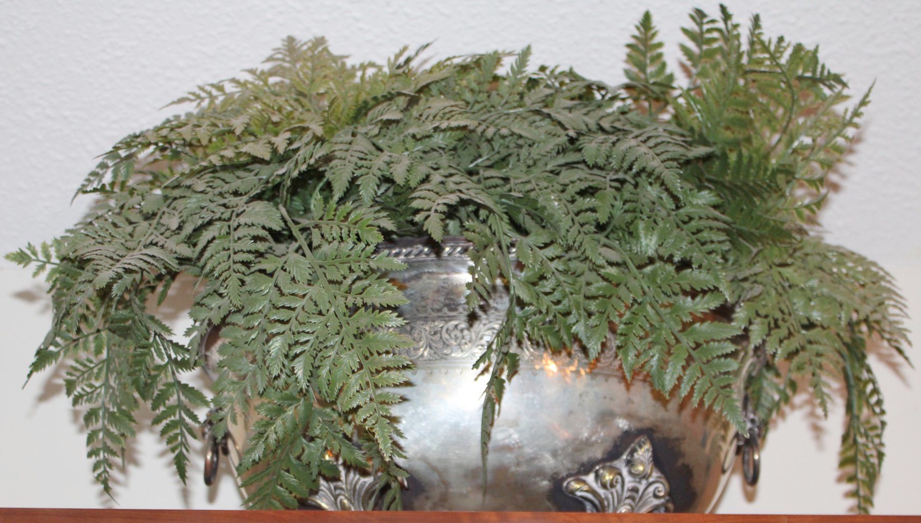 Image for VINTAGE TIME CAPSULE ESTATE AUCTION