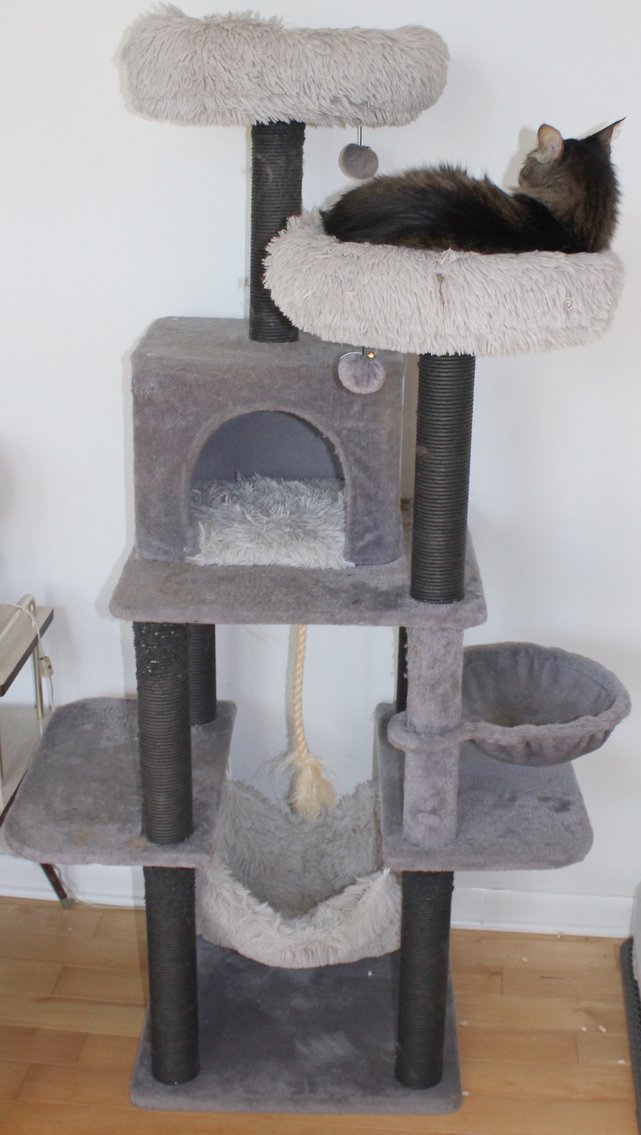 Image for MID CENTURY LIVING ESTATE AUCTION