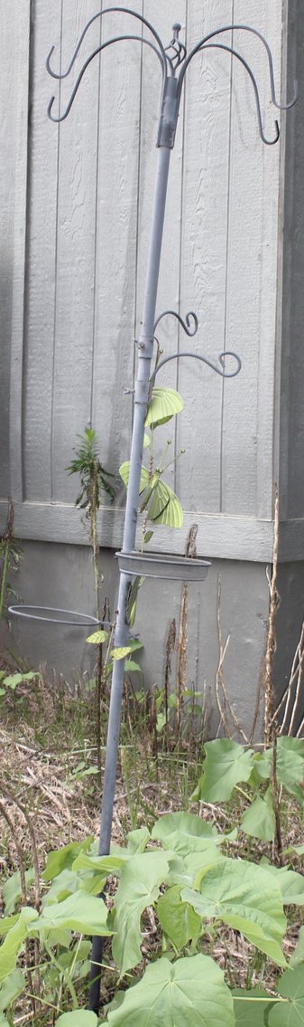 Image for EMERGENCY LAST MINUTE ANTIQUE DEALER'S LIVING ESTATE AUCTION