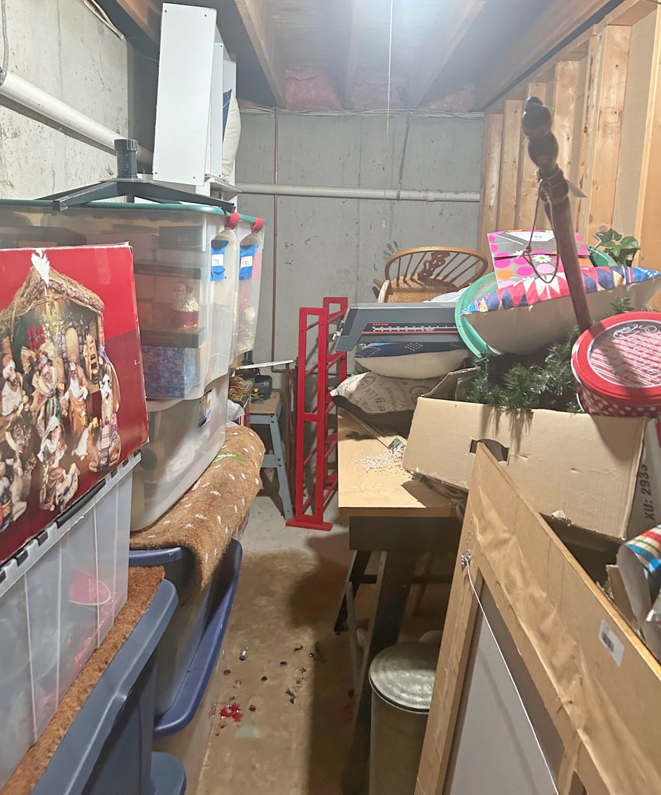 Image for EMERGENCY LAST MINUTE ANTIQUE DEALER'S LIVING ESTATE AUCTION