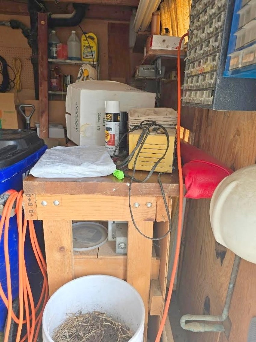 Image for ESTATE AUCTION