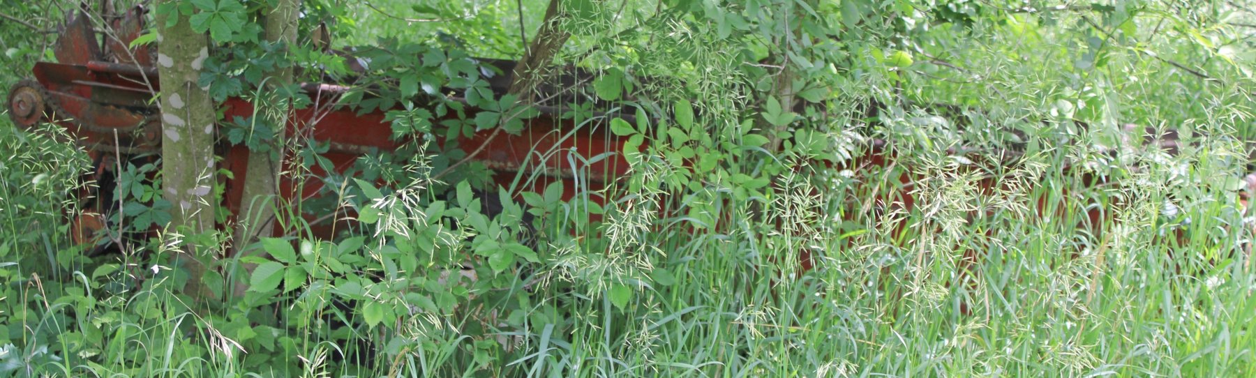 Image for FARM ESTATE AUCTION