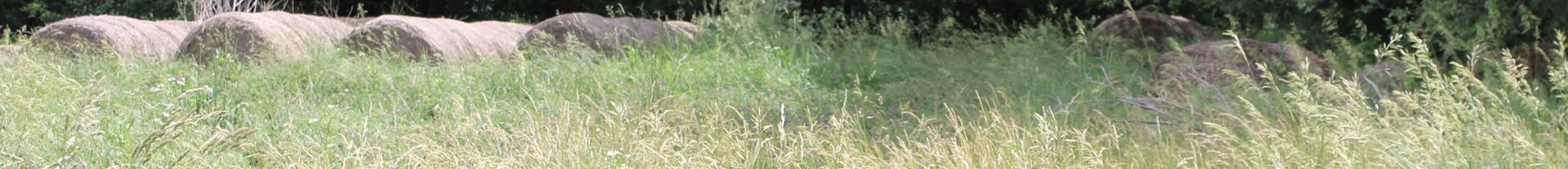 Image for FARM ESTATE AUCTION