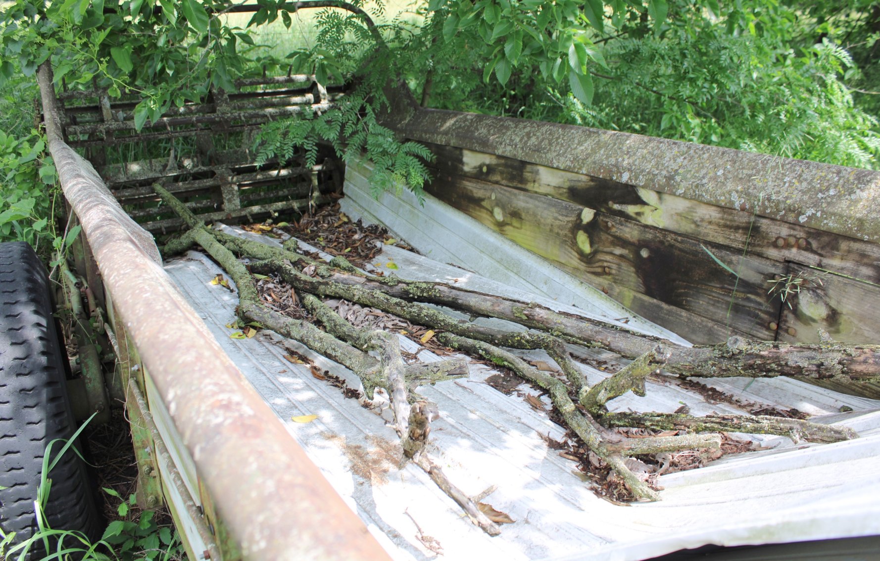 Image for FARM ESTATE AUCTION