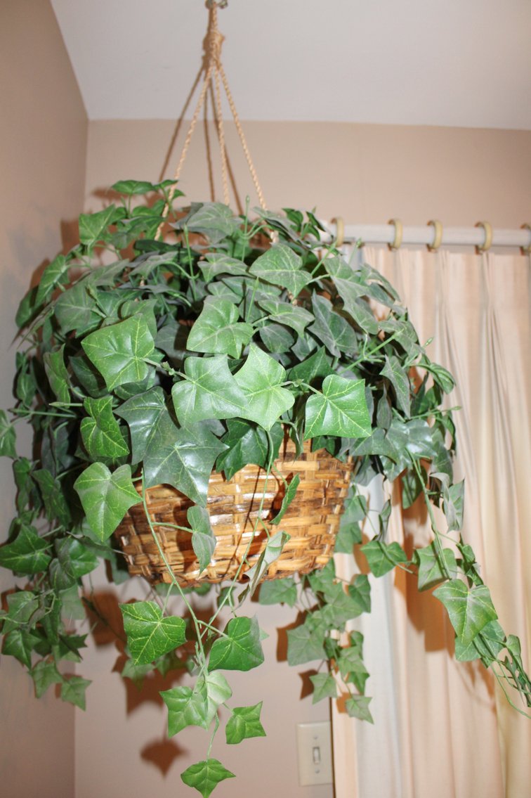 Image for LAST MINUTE EMERGENCY ESTATE AUCTION