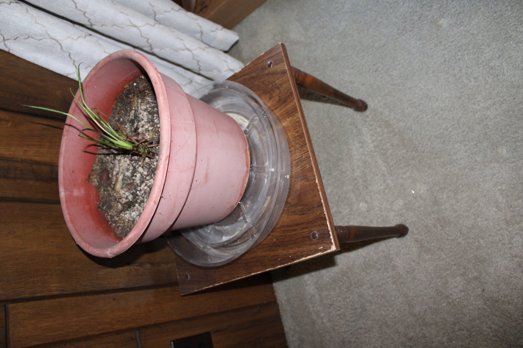 Image for LIVING ESTATE AUCTION