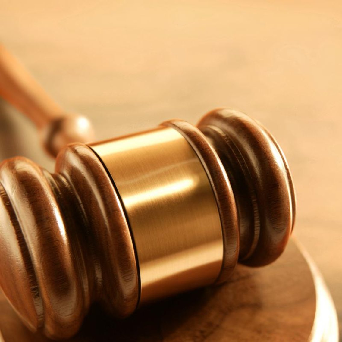 Image for Louisburg Elementary PTO Annual Benefit Auction