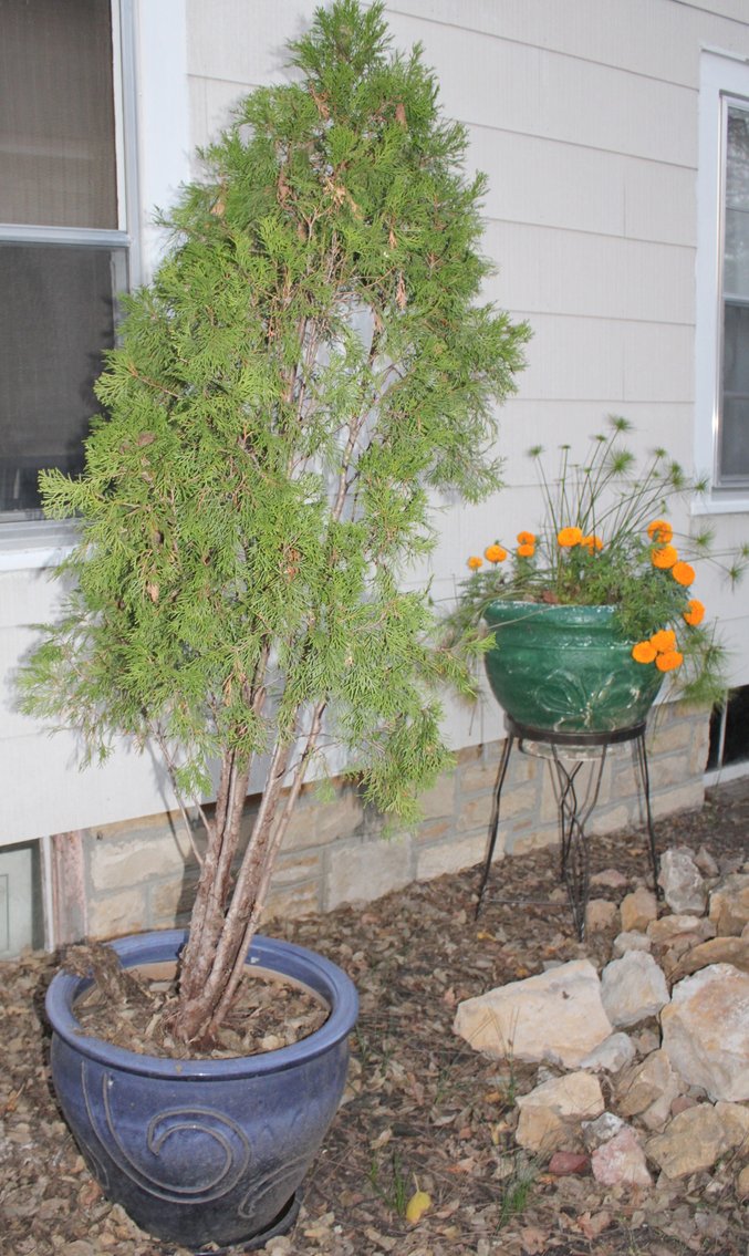 Image for MID CENTURY MADNESS AUCTION