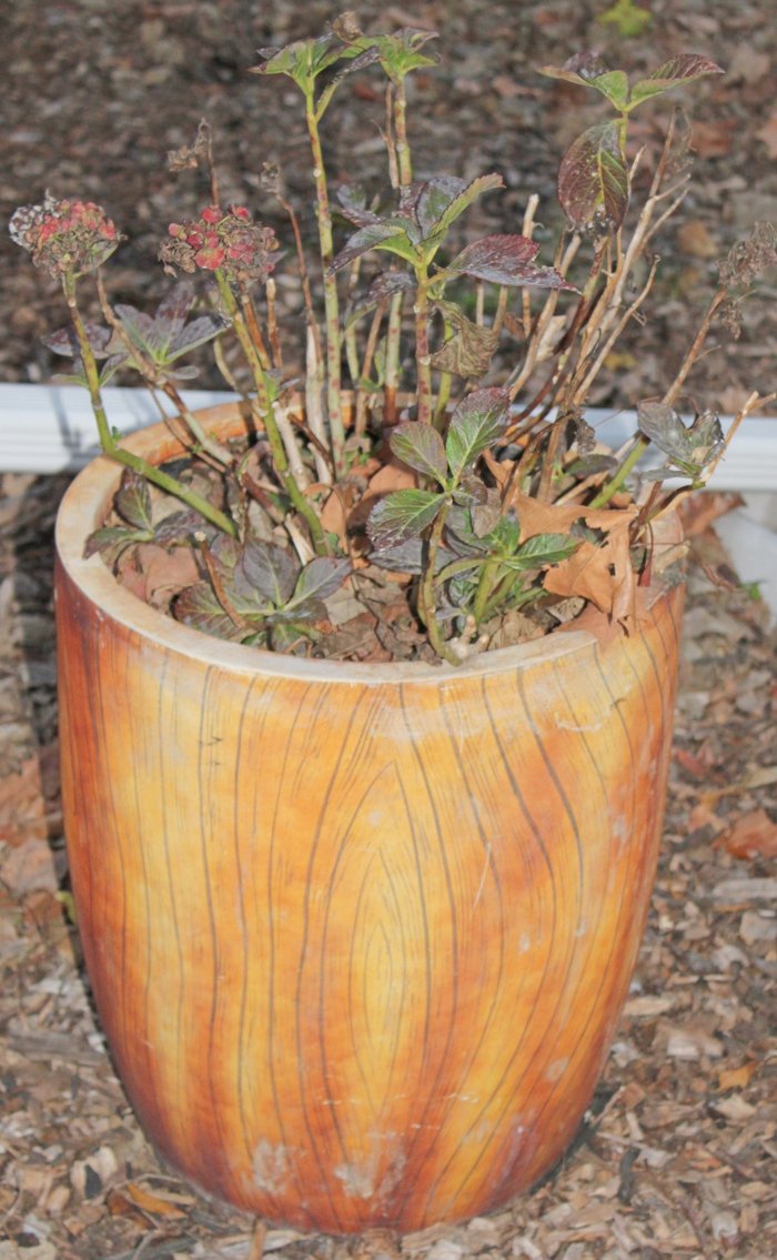 Image for MID CENTURY MADNESS AUCTION