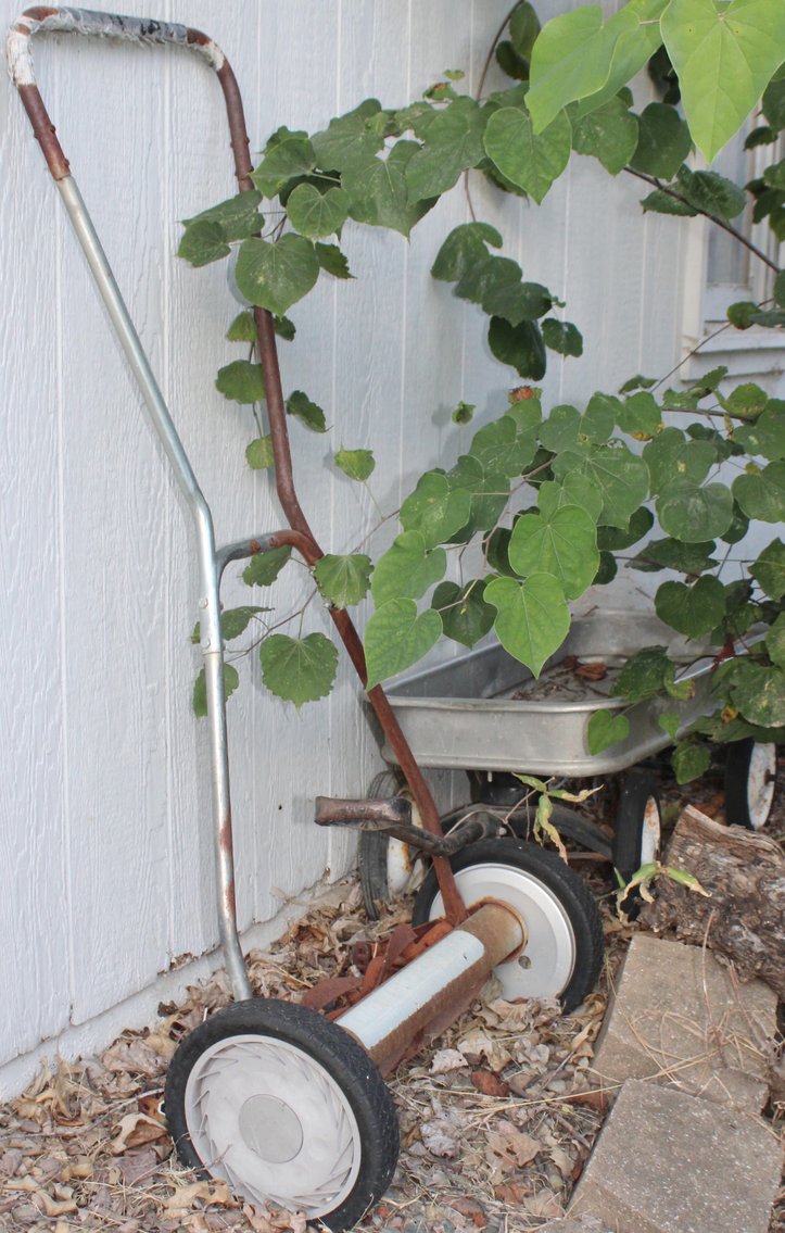 Image for REAL ESTATE & PERSONAL PROPERTY AUCTION