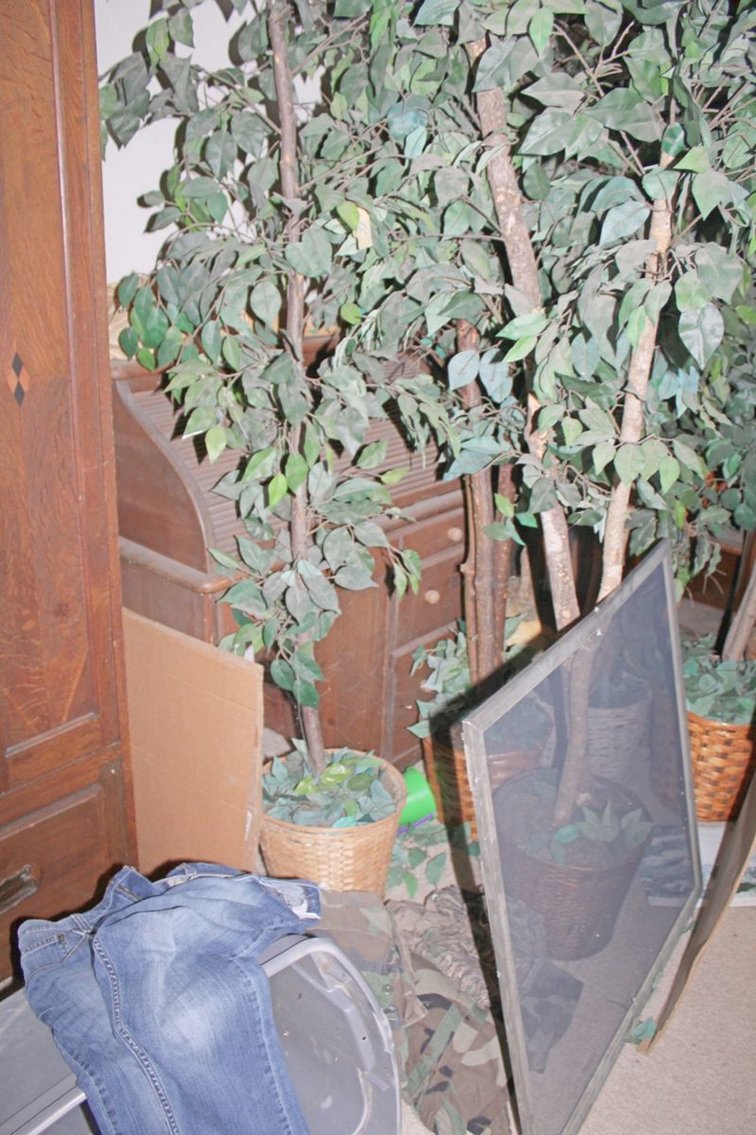 Image for ESTATE AUCTION