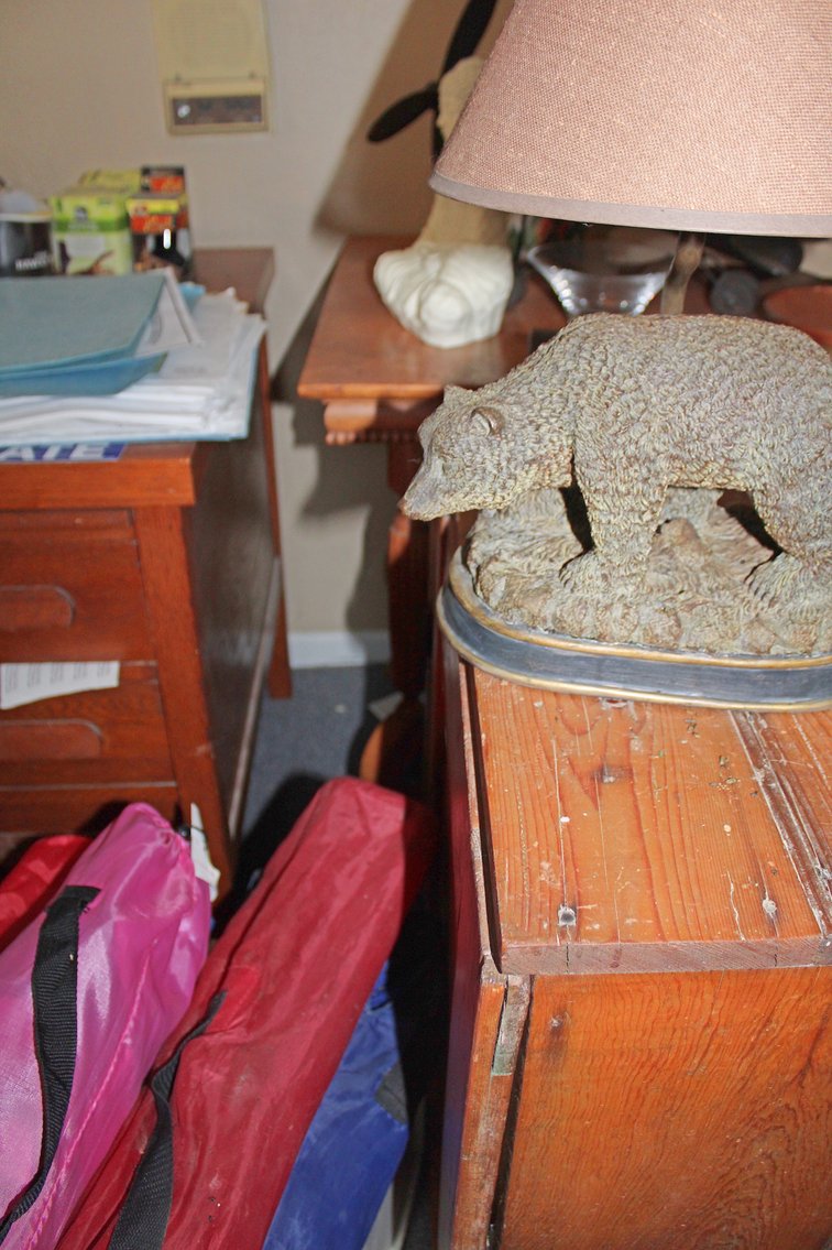 Image for AMERICAN PICKERS TREASURE HUNT AUCTION