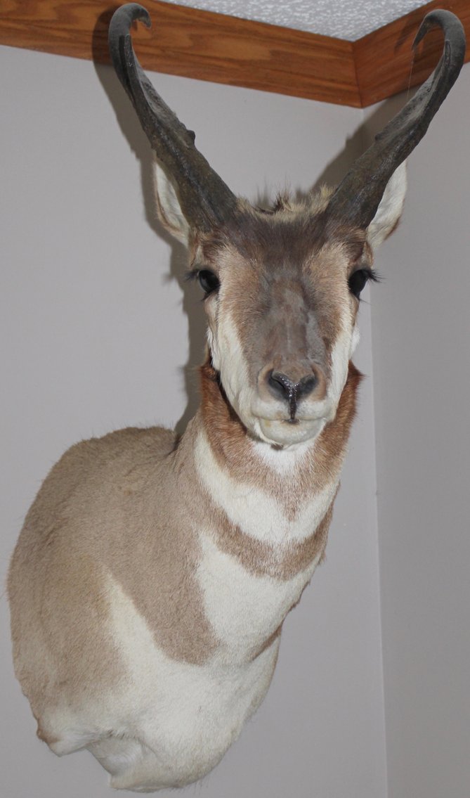 Image for EMERGENCY ESTATE AUCTION