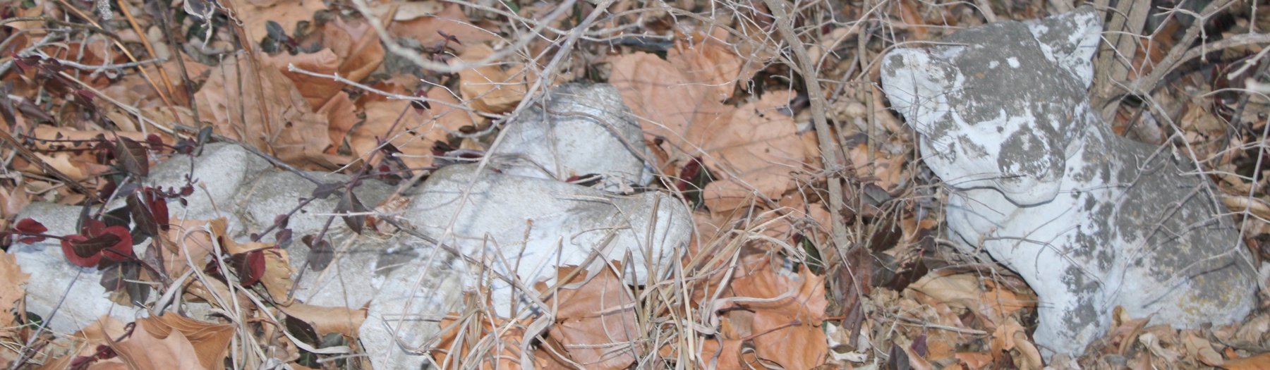 Image for MEGA PACKED ECLECTIC VINTAGE COLLECTOR AUCTION