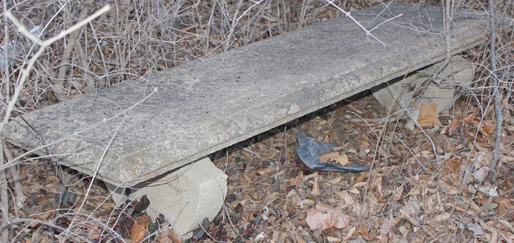 Image for MEGA PACKED ECLECTIC VINTAGE COLLECTOR AUCTION