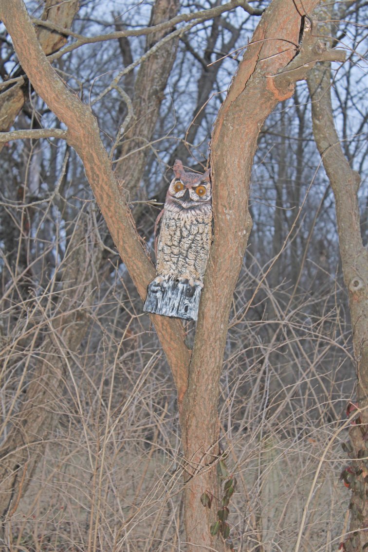 Image for MEGA PACKED ECLECTIC VINTAGE COLLECTOR AUCTION