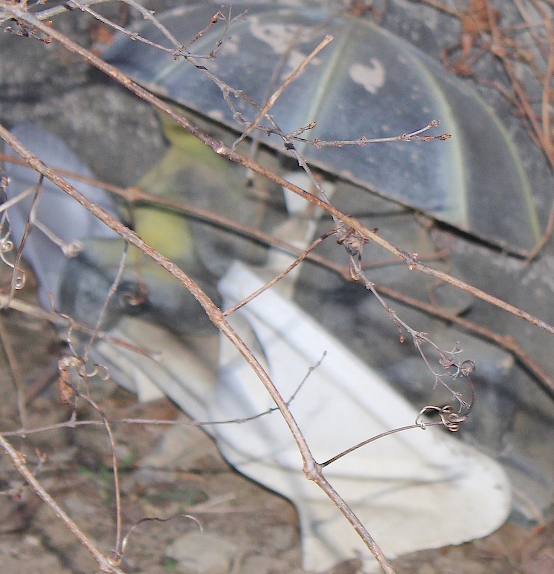 Image for MEGA PACKED ECLECTIC VINTAGE COLLECTOR AUCTION