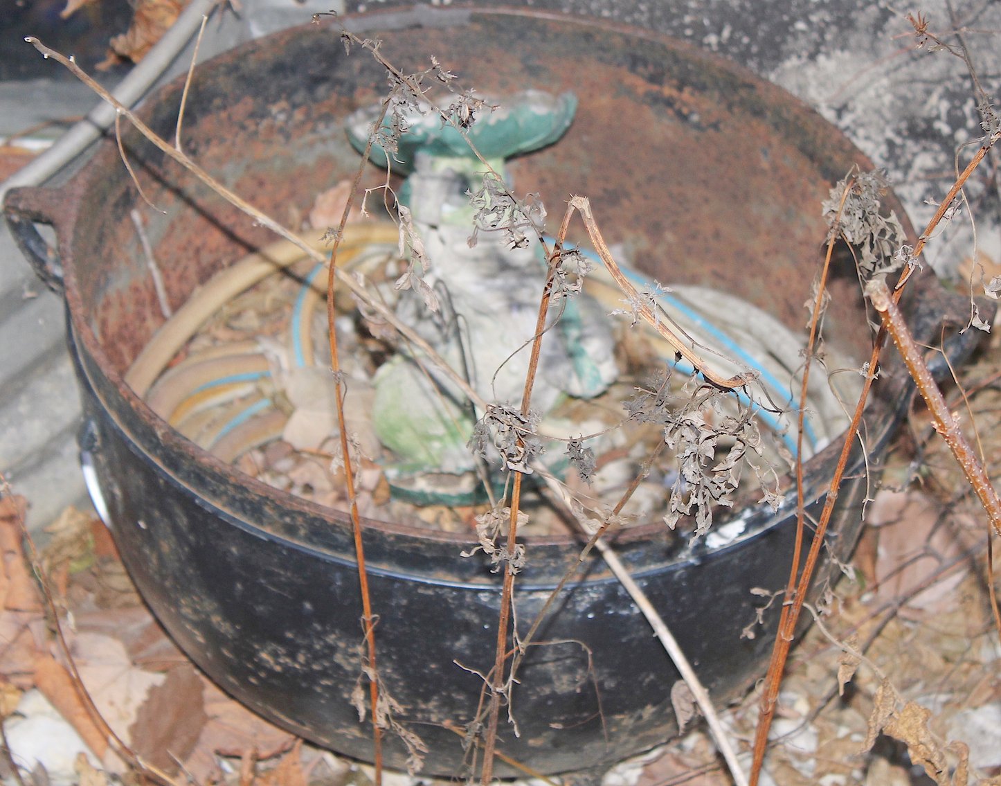 Image for MEGA PACKED ECLECTIC VINTAGE COLLECTOR AUCTION