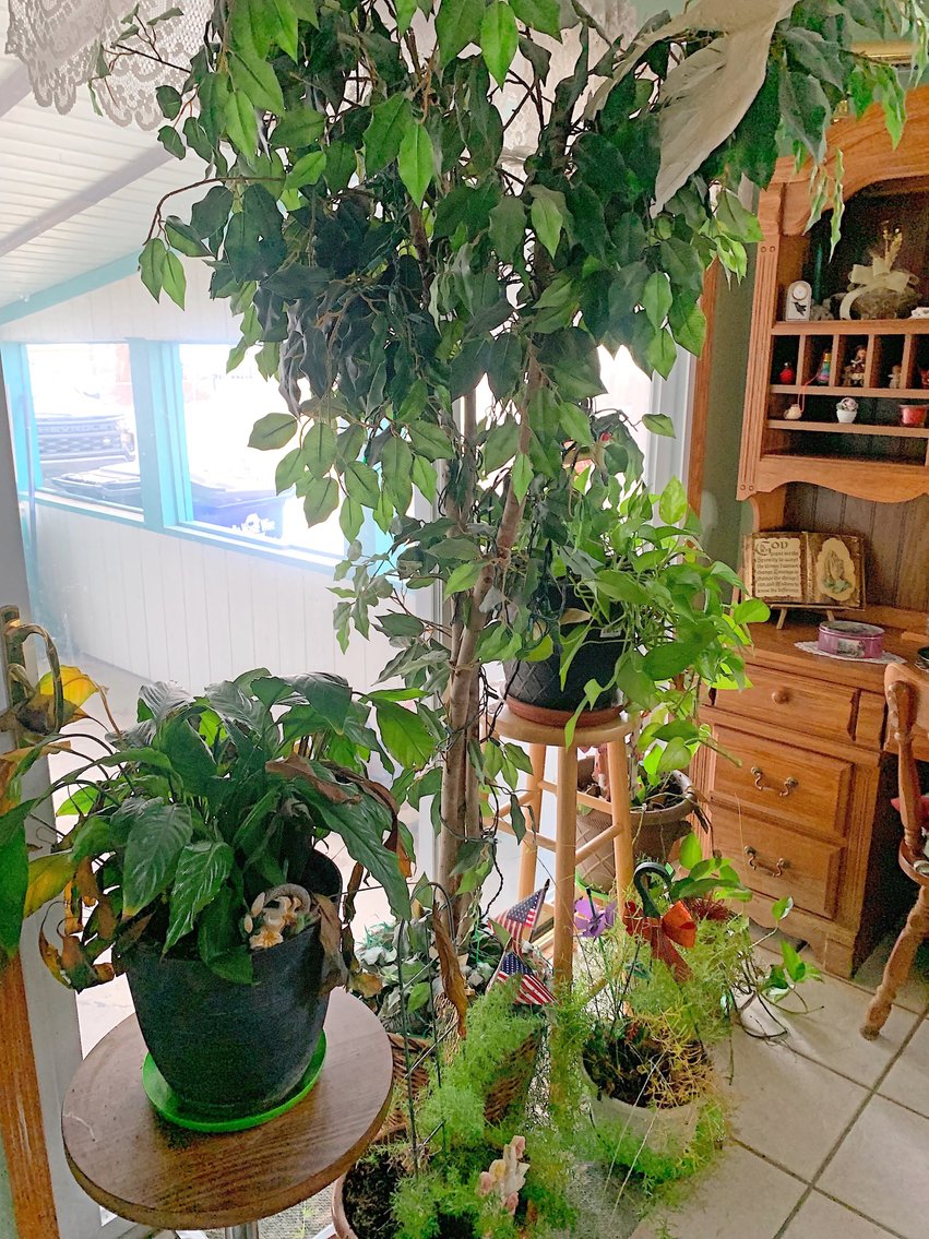 Image for ESTATE AUCTION