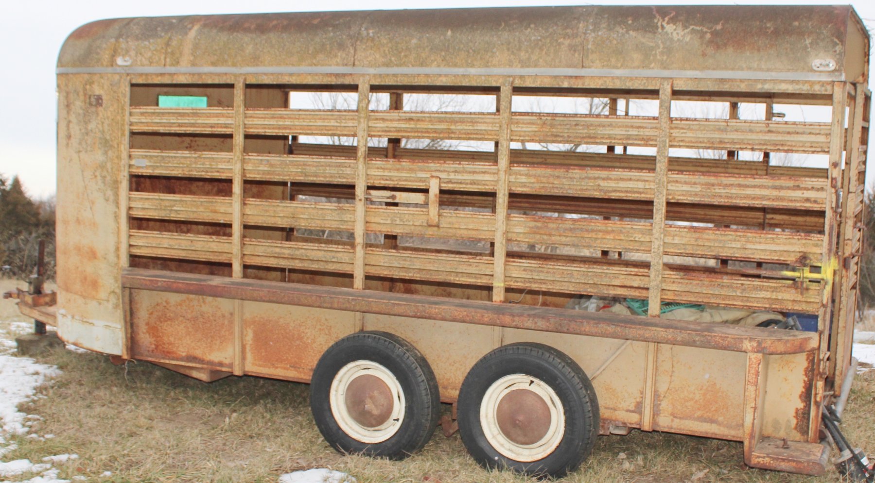 Image for MEGA 3-RING AUCTION