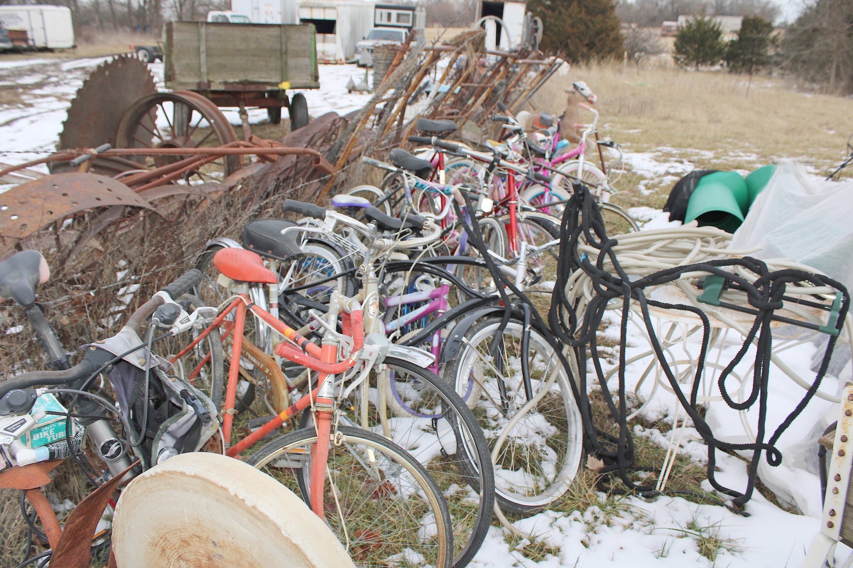 Image for MEGA 3-RING AUCTION