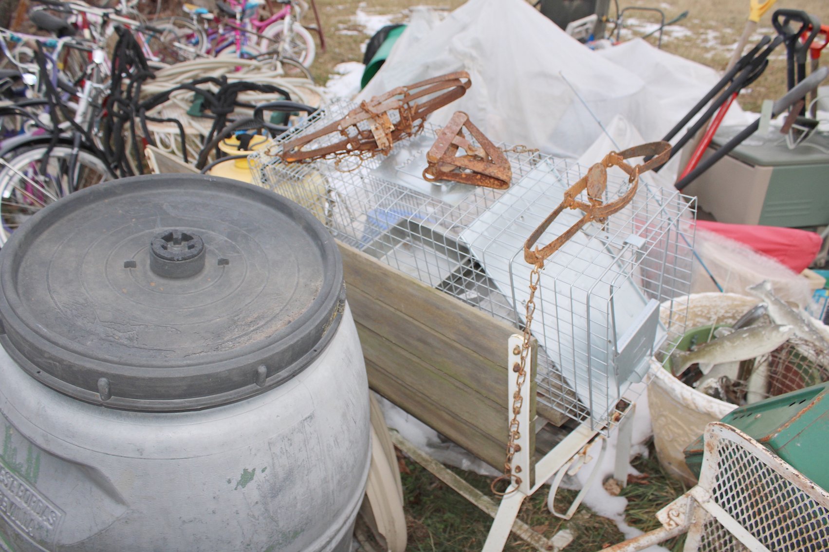 Image for MEGA 3-RING AUCTION