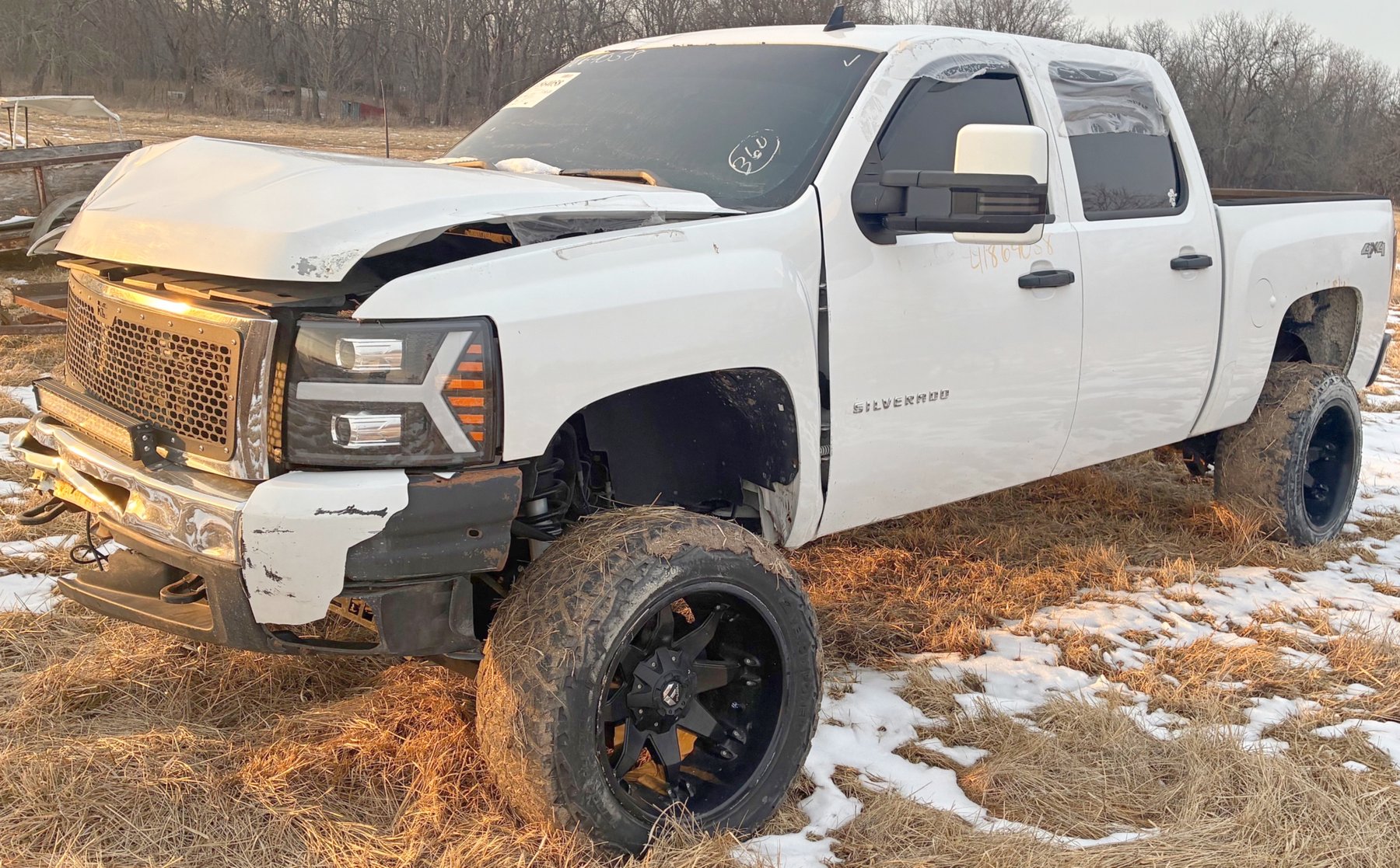 Image for MEGA 3-RING AUCTION