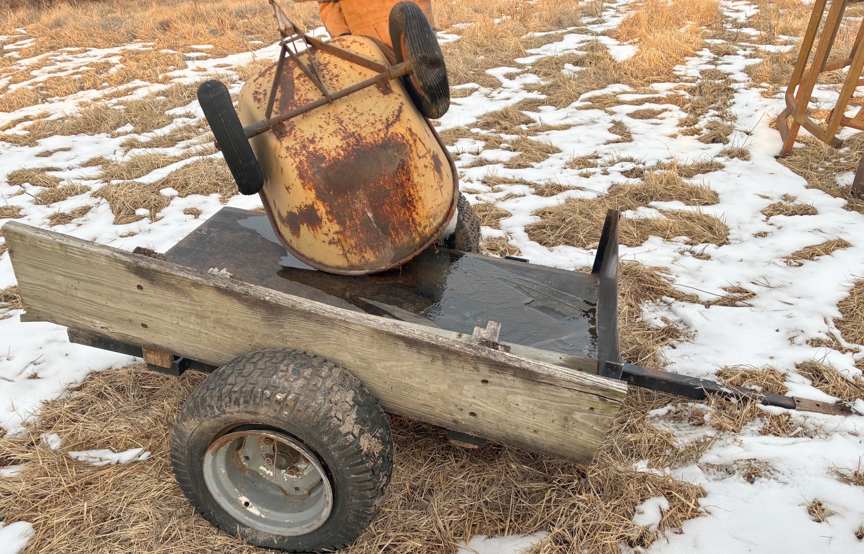 Image for MEGA 3-RING AUCTION