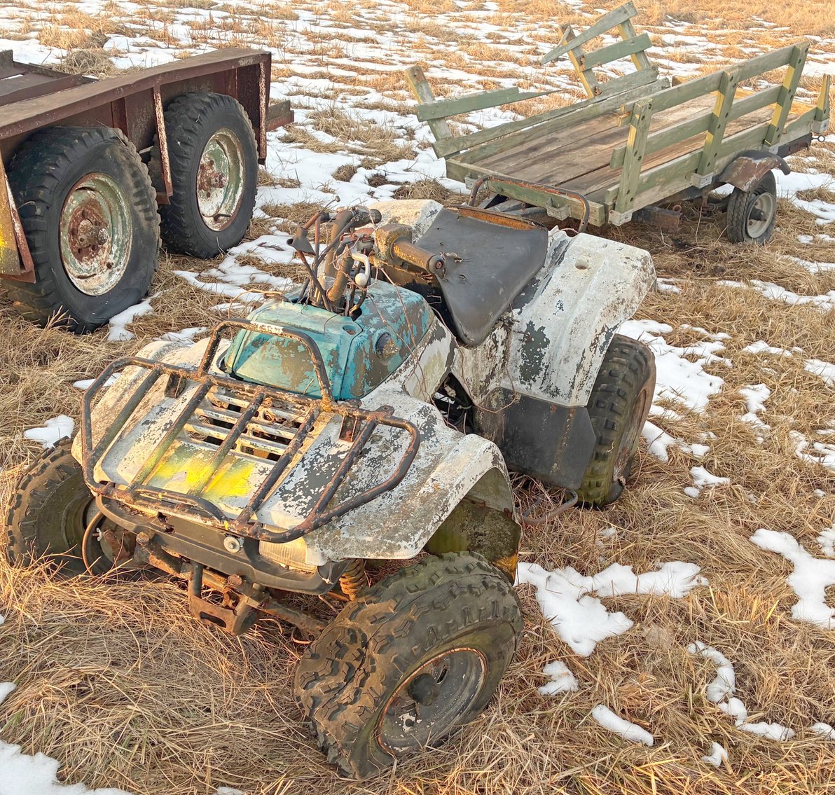 Image for MEGA 3-RING AUCTION