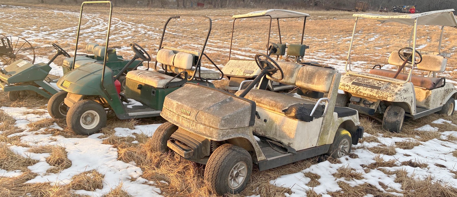 Image for MEGA 3-RING AUCTION