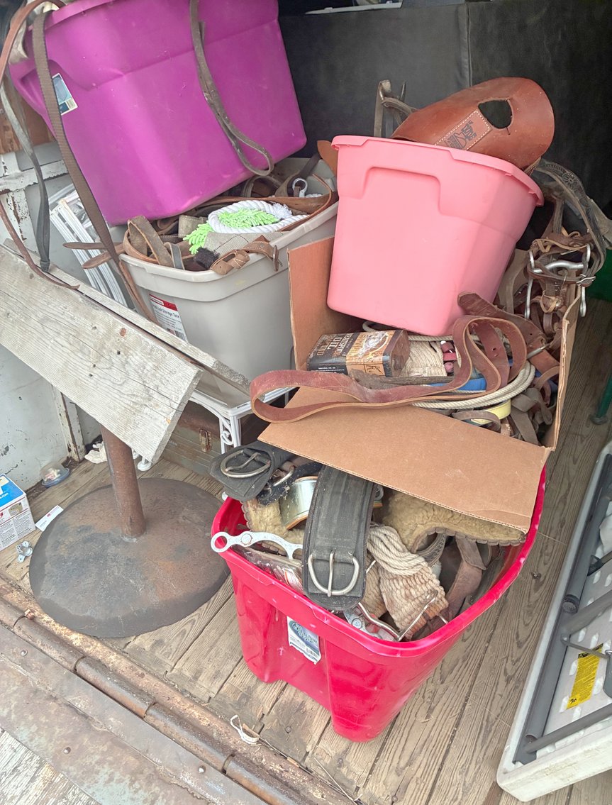 Image for MEGA 3-RING AUCTION