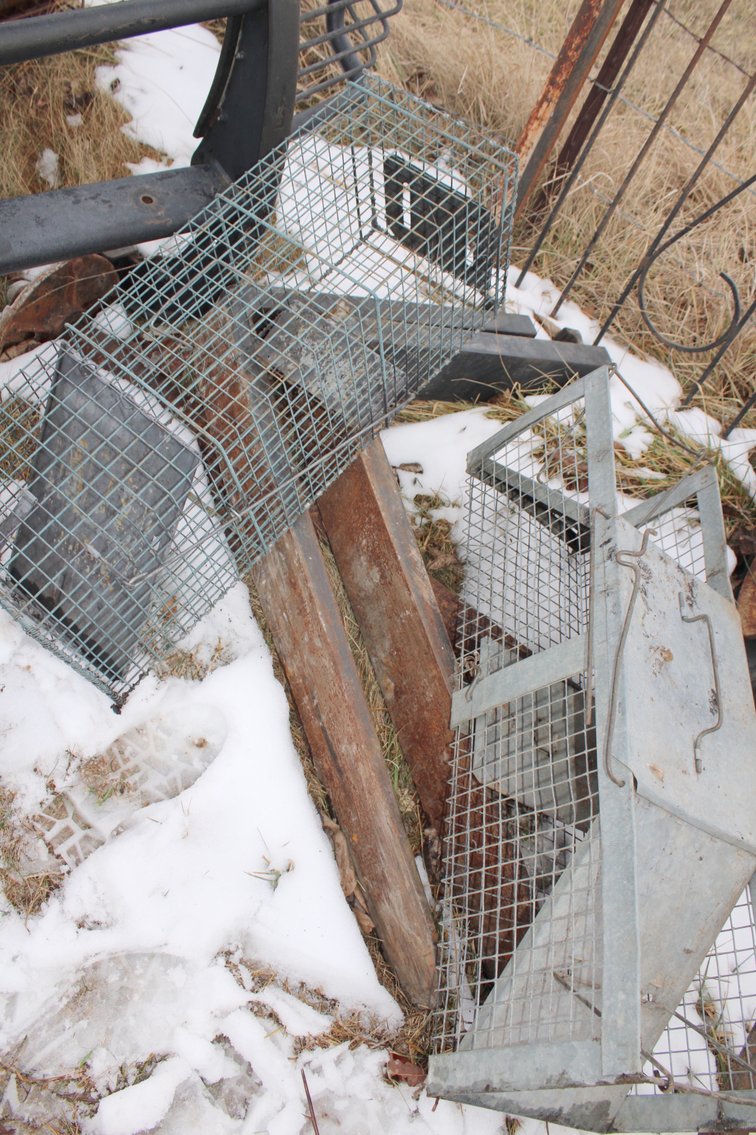 Image for MEGA 3-RING AUCTION