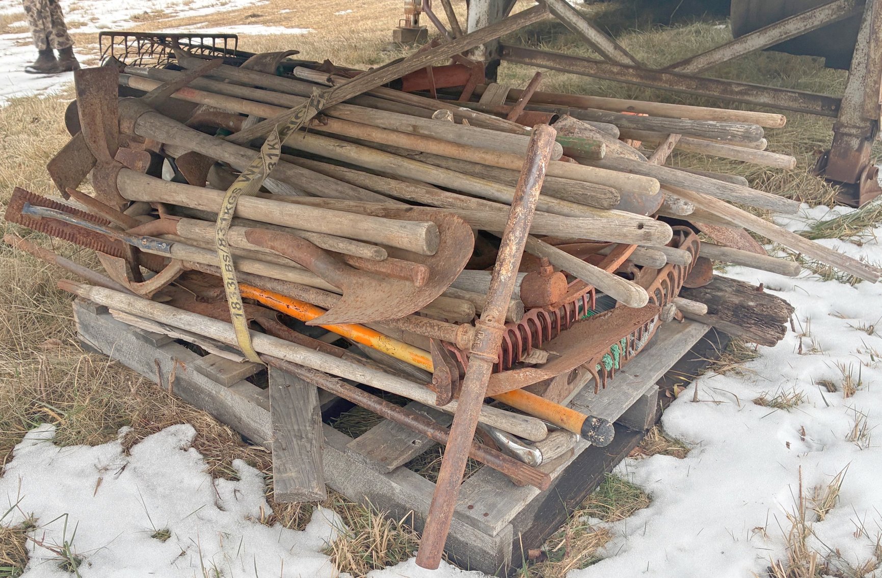 Image for MEGA 3-RING AUCTION