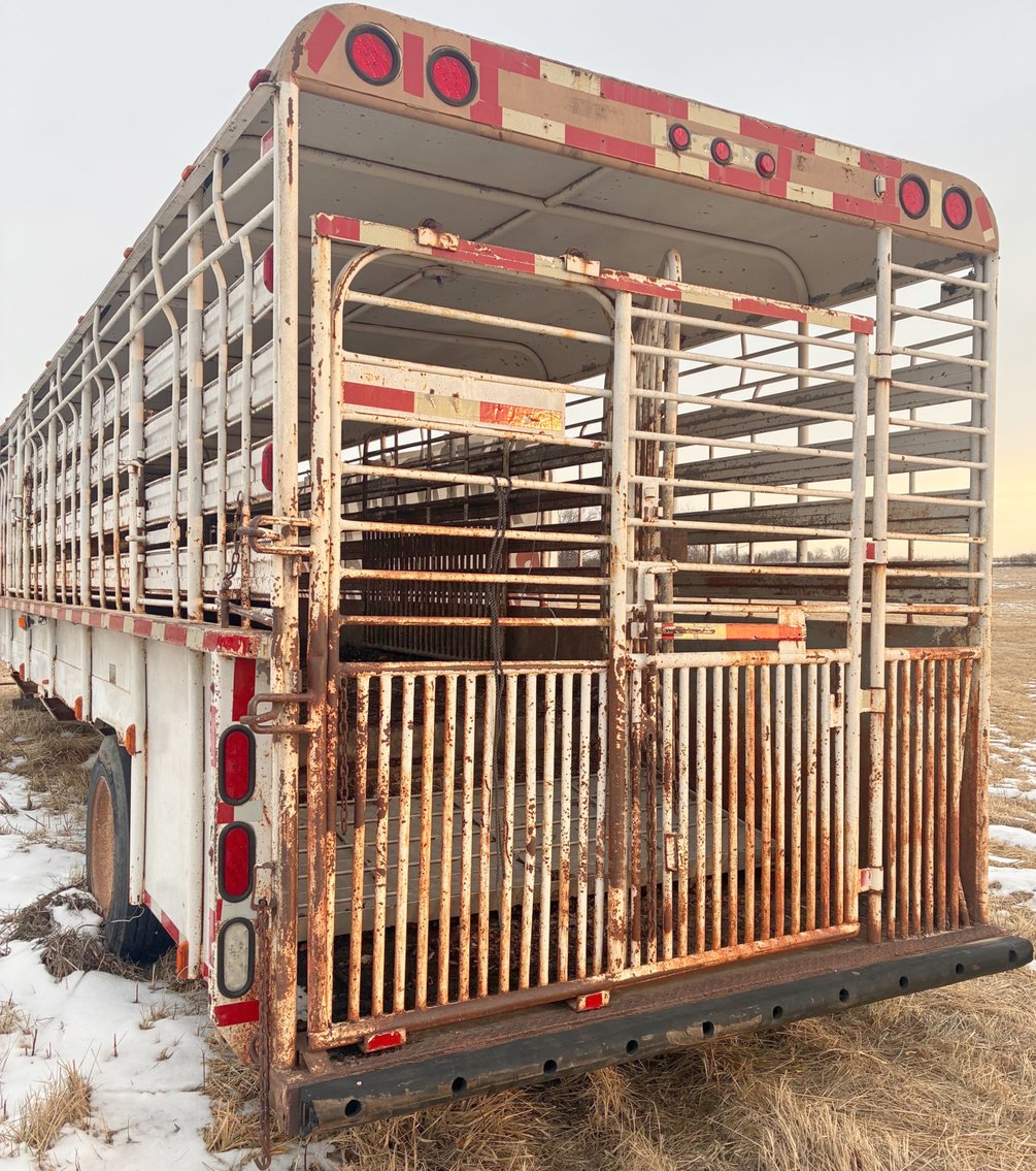 Image for MEGA 3-RING AUCTION