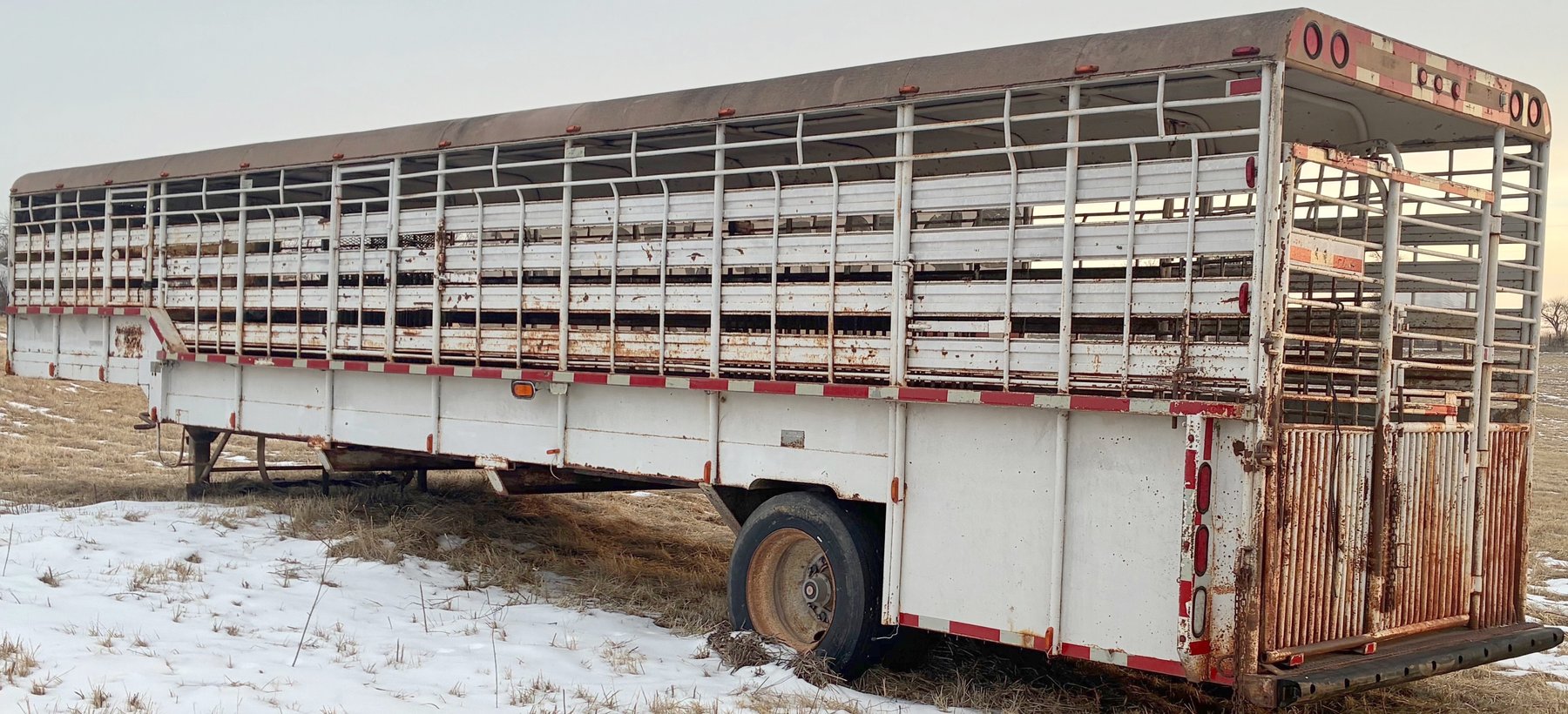 Image for MEGA 3-RING AUCTION