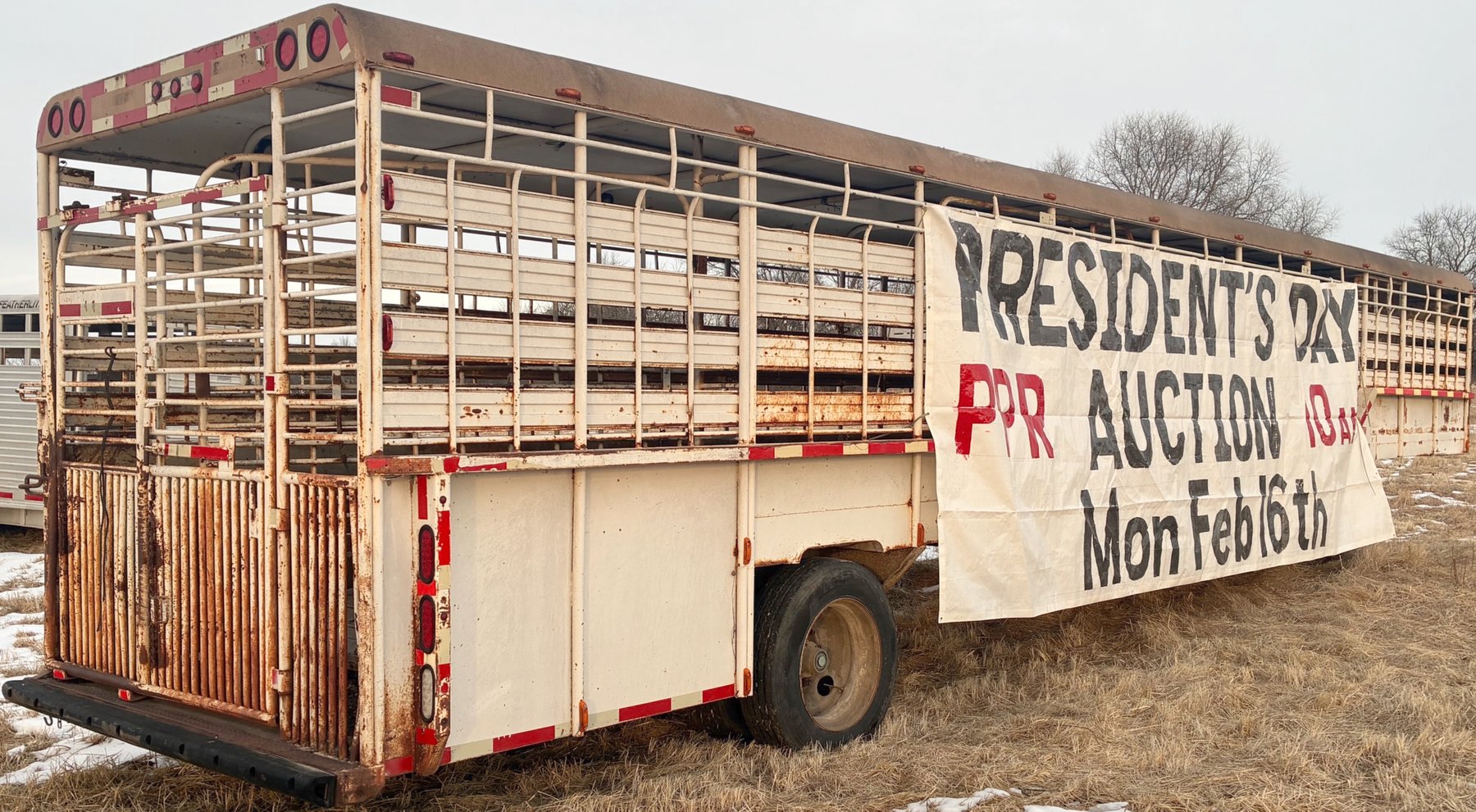 Image for MEGA 3-RING AUCTION