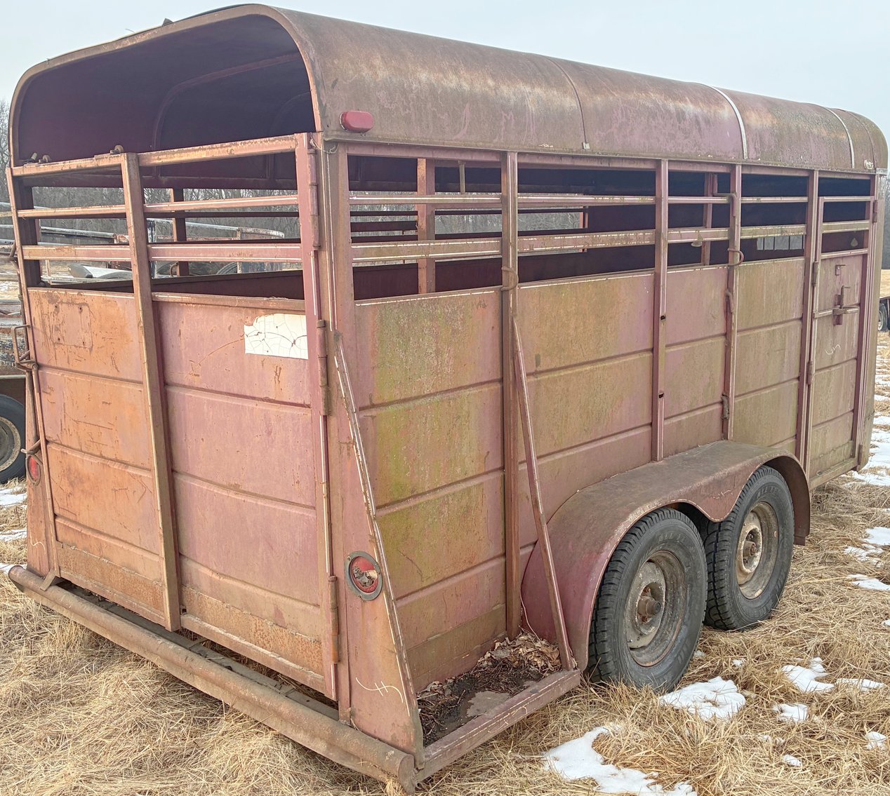 Image for MEGA 3-RING AUCTION