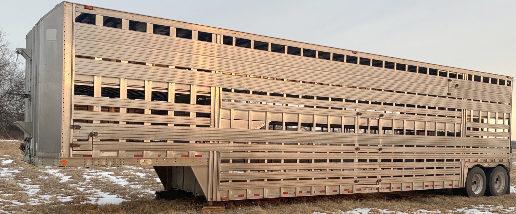 Image for MEGA 3-RING AUCTION