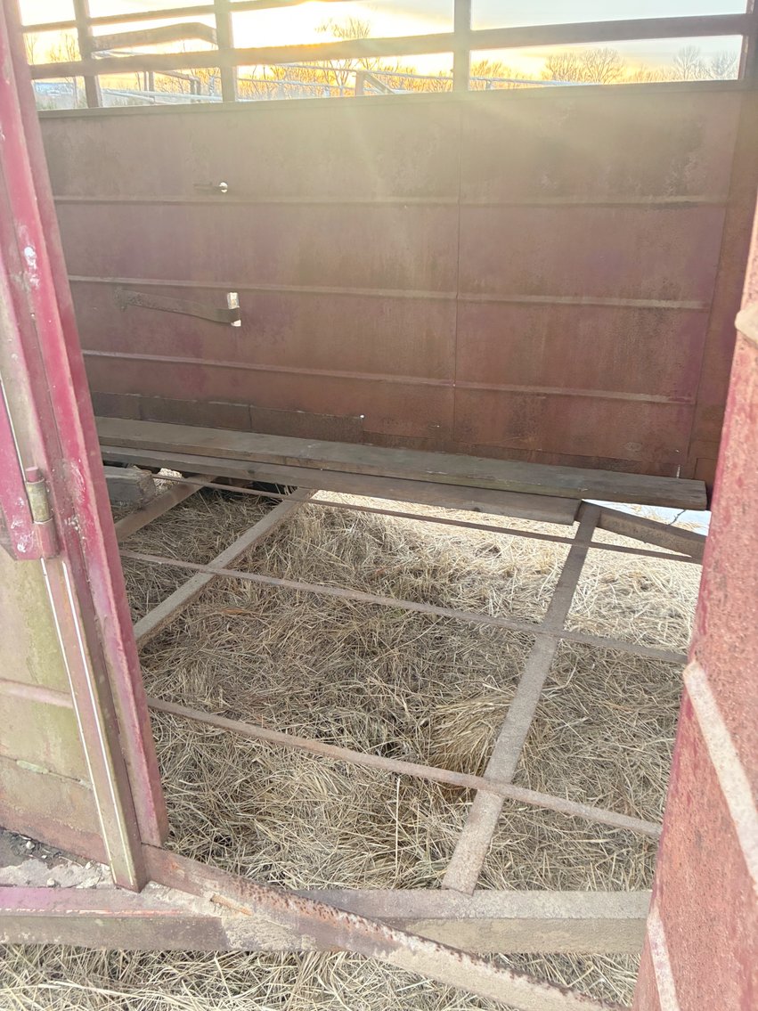 Image for MEGA 3-RING AUCTION