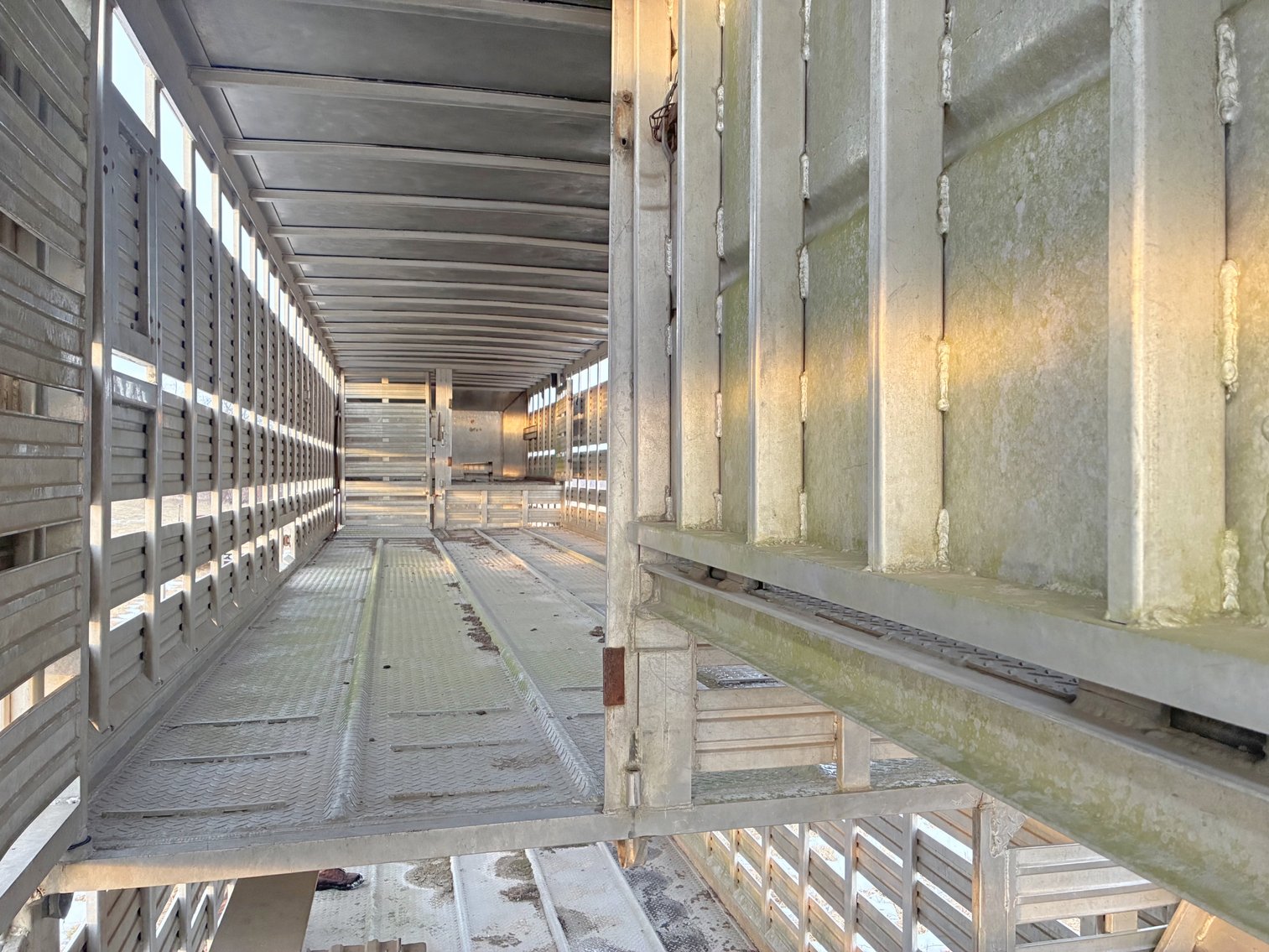 Image for MEGA 3-RING AUCTION