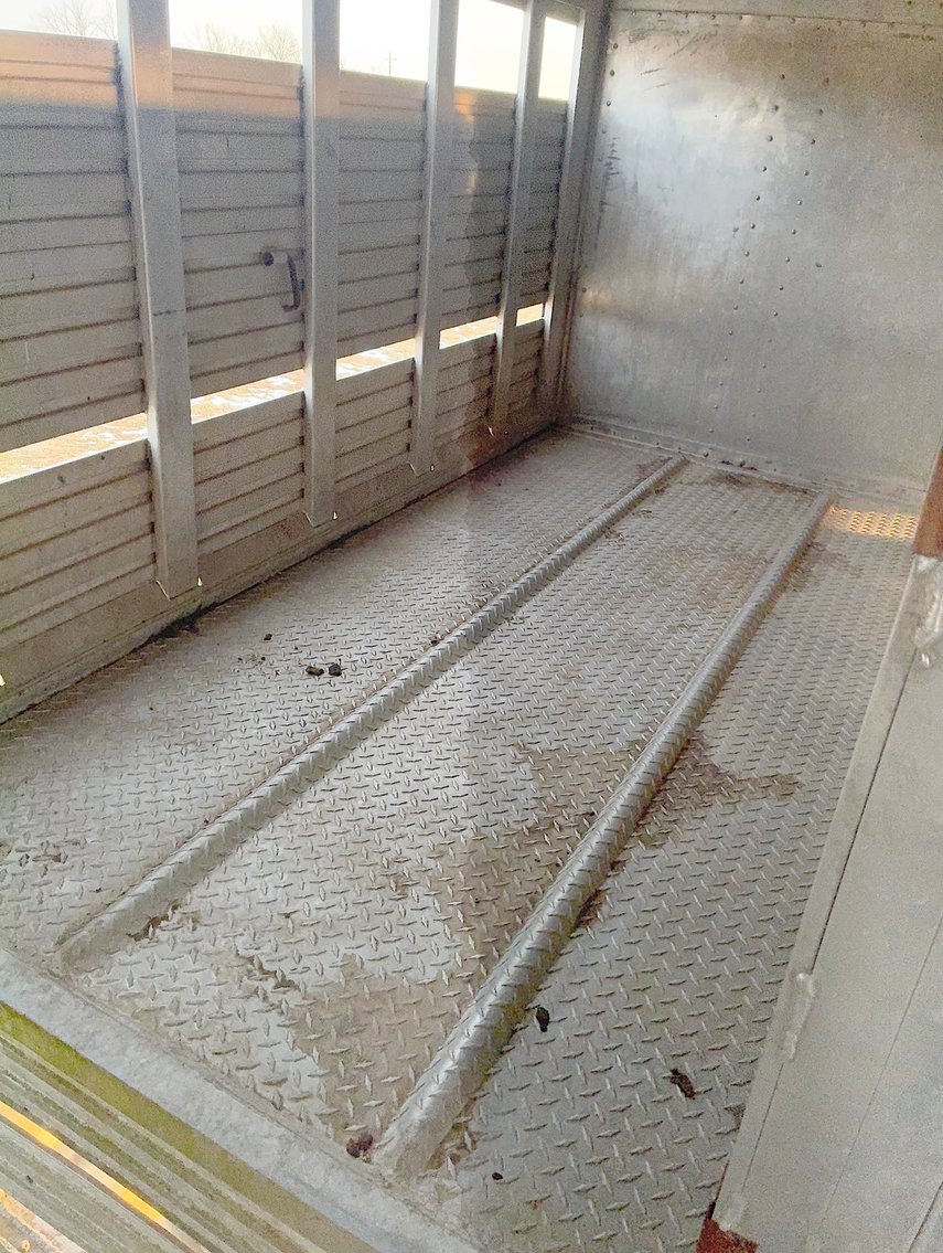 Image for MEGA 3-RING AUCTION