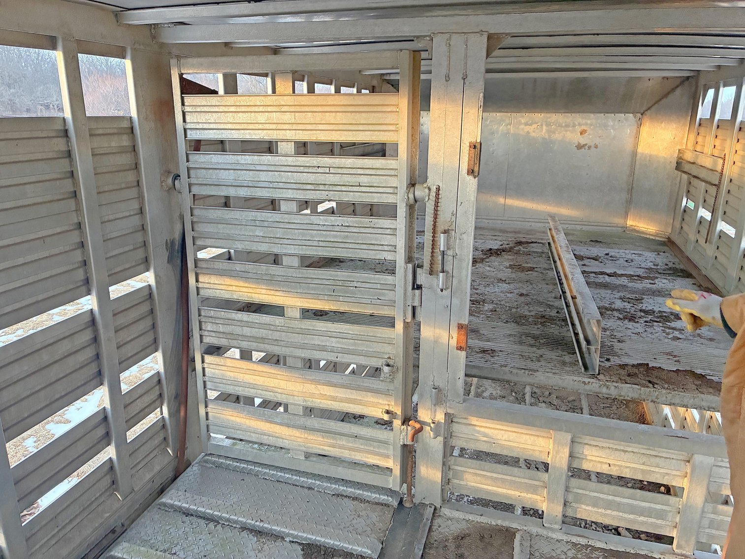 Image for MEGA 3-RING AUCTION