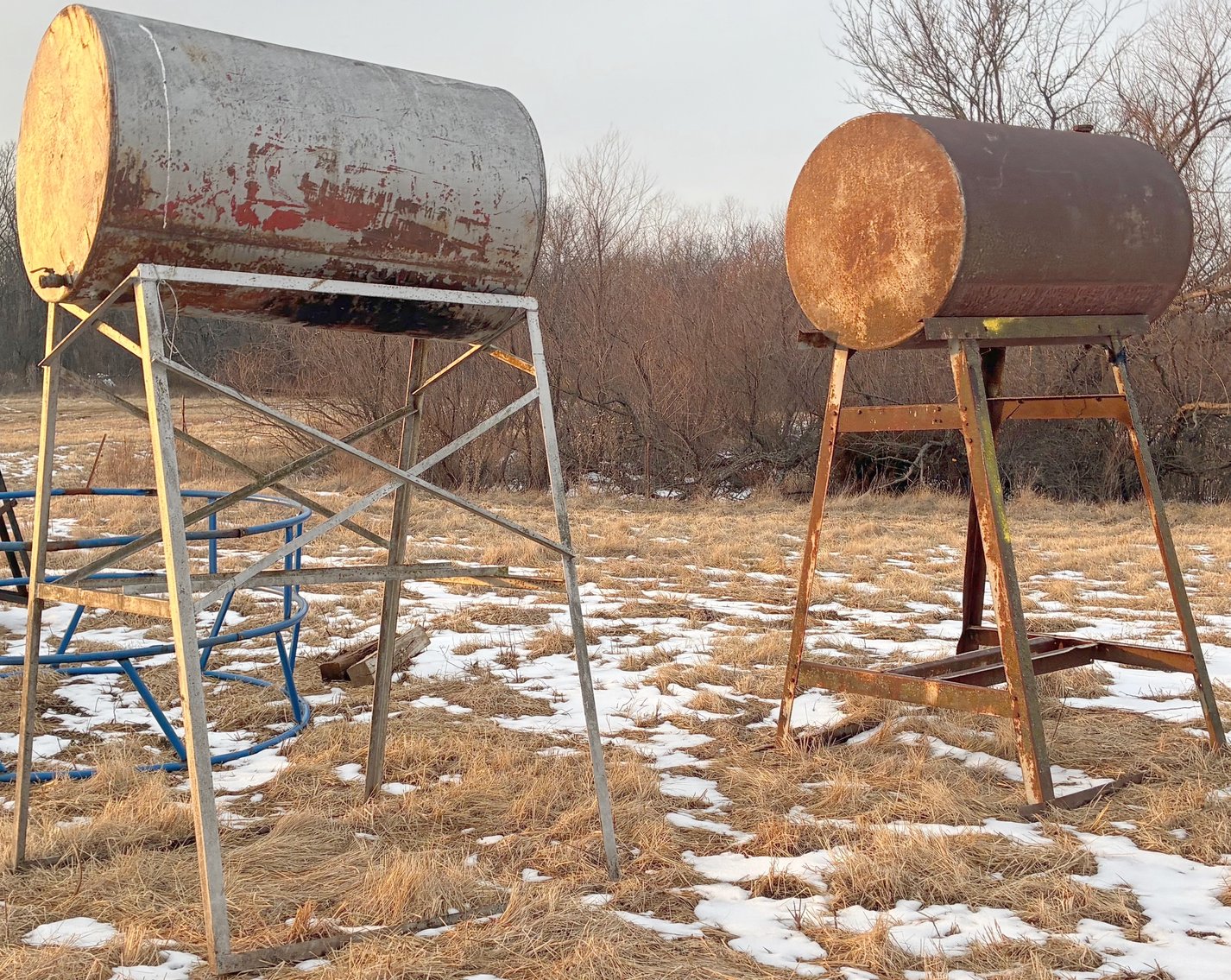 Image for MEGA 3-RING AUCTION