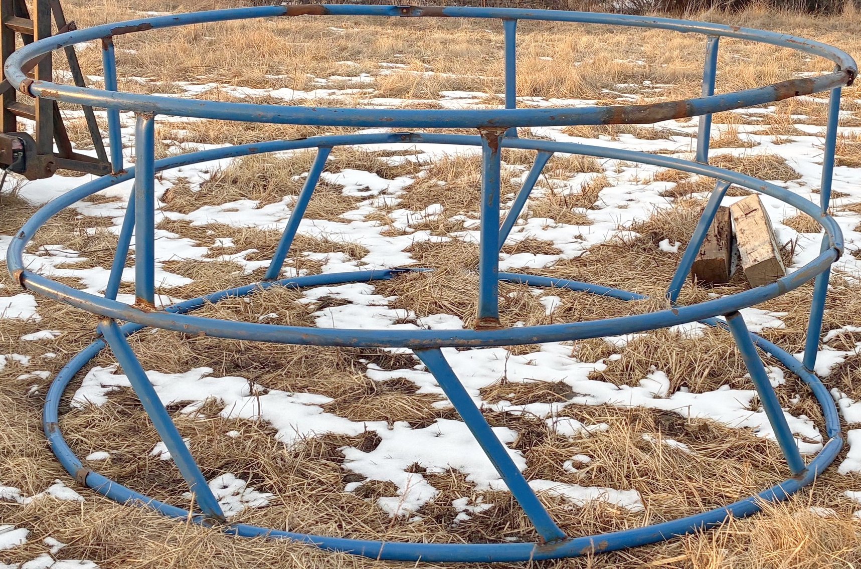 Image for MEGA 3-RING AUCTION